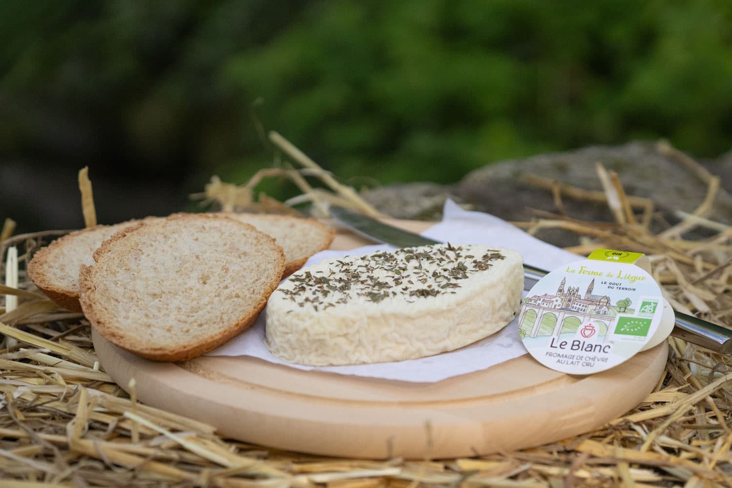 Plateau de fromage avec thym