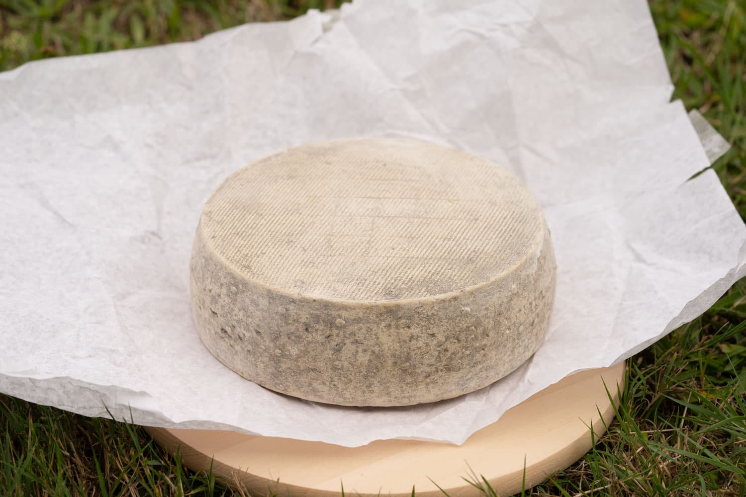 Vente de Fromages de vache à la ferme
